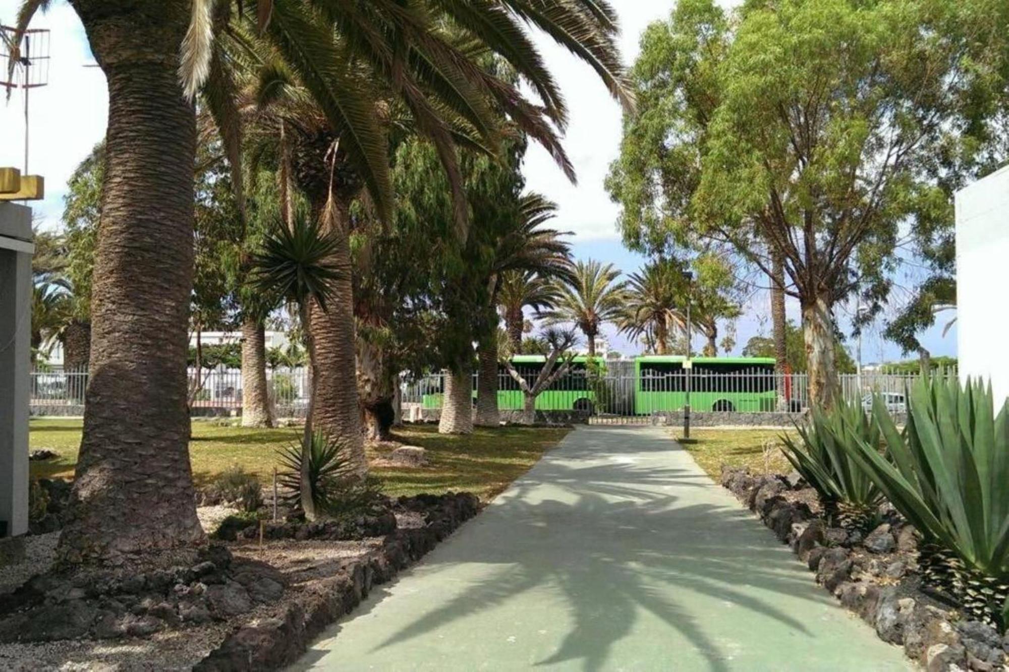 Papagayo Beach Apartments Arona  Eksteriør bilde